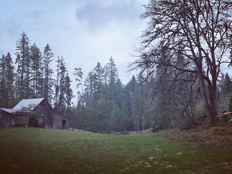 Barn in mist