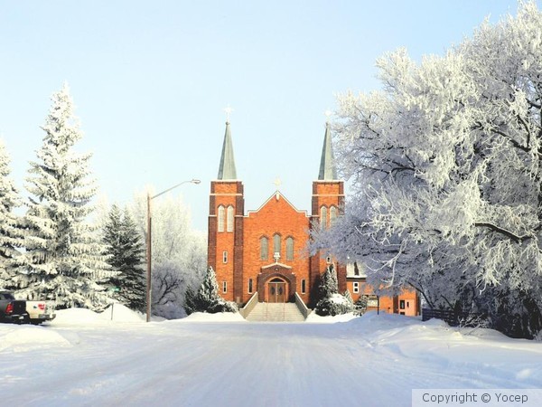 Hoar Frost