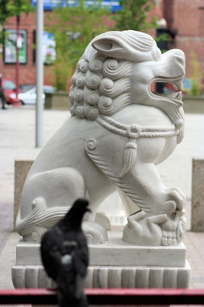 The Lion and the pigeon