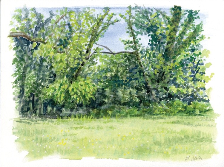 MO - open studio shelby bottoms plein air