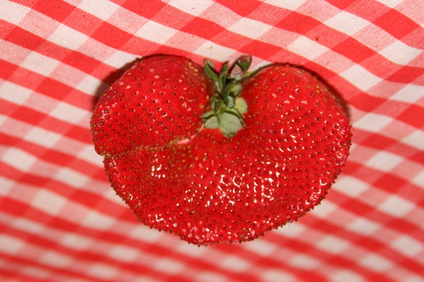 Love Tastes Like Strawberries