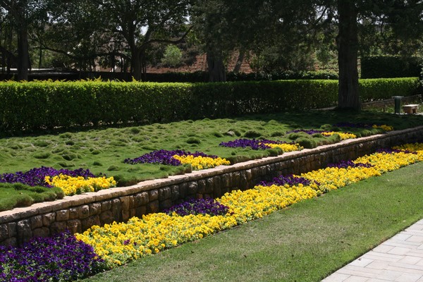 I Love Spring Anywhere