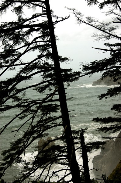 Oregon Coast