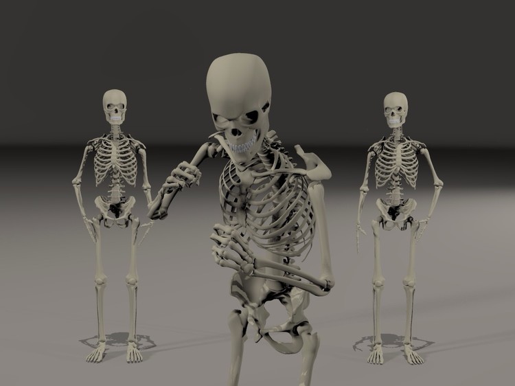 Skell Fighter