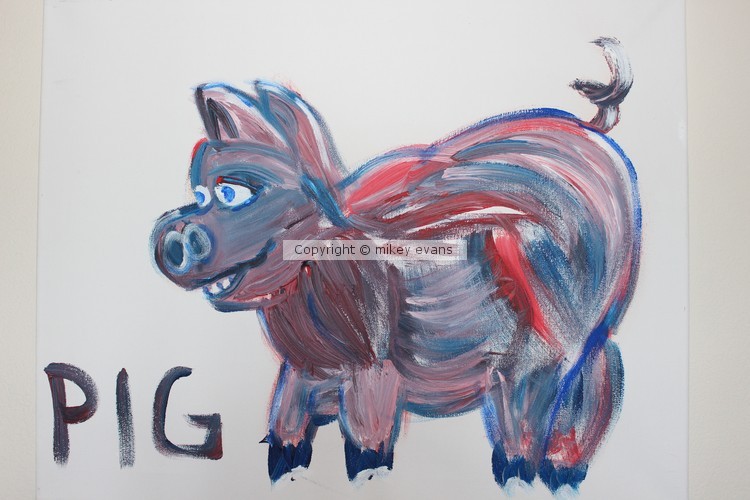 pig