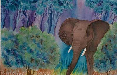 Elephant Plains