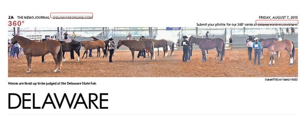 249th News Journal Panorama-State Fair Horses