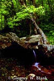 Gold Mine Falls