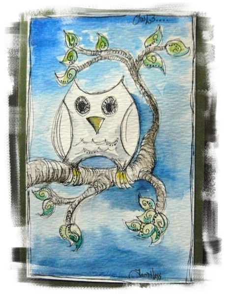 An Owl