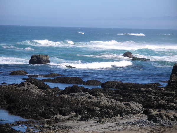 Ocean in the morning
