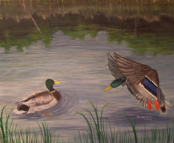 Mallard Pond