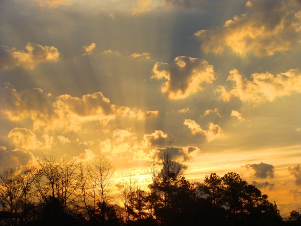 South Carolina SunRiSe