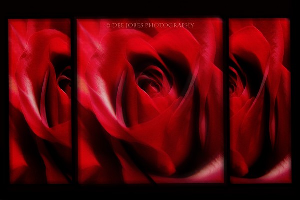 Transforming Beauty