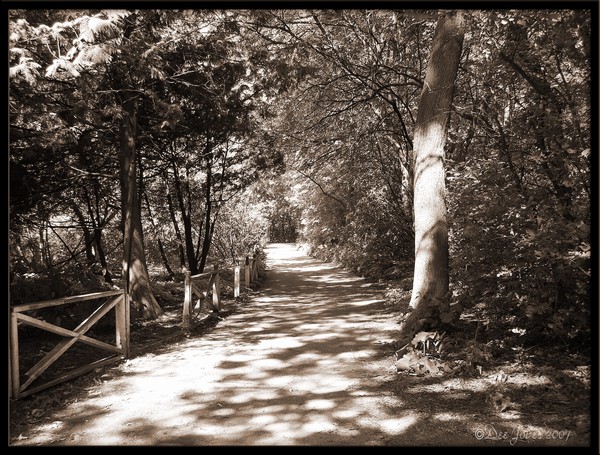 Destiny's Path