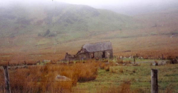  on the hillside