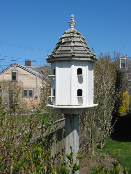  Beach House Bird Feeder