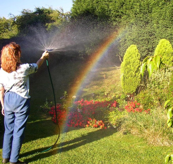 My Personal Rainbow...