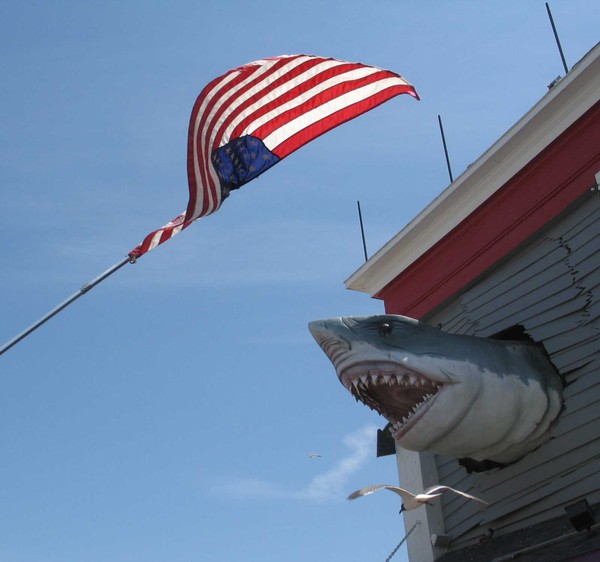 Jaws American Classic