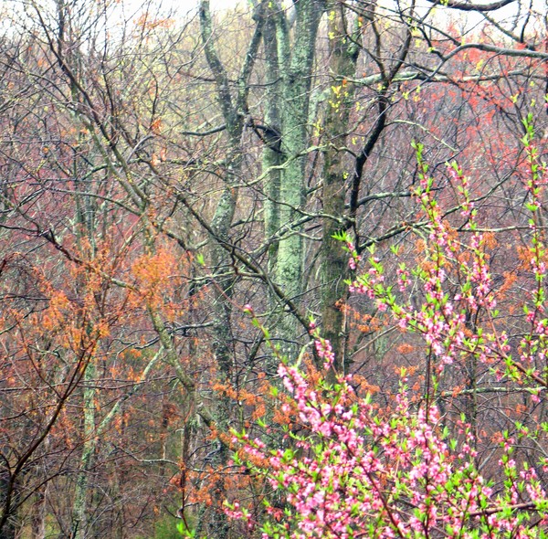 April Day 