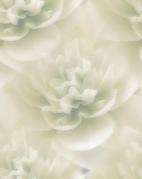 Winter White Flowers (One)