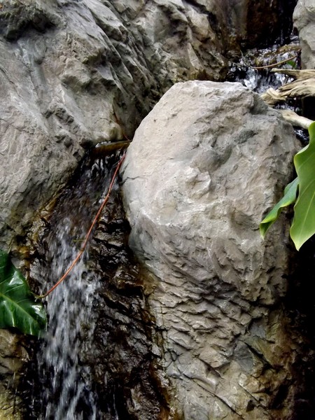 Little Waterfalls In The Green House (Two)