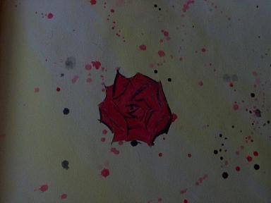 Rose.