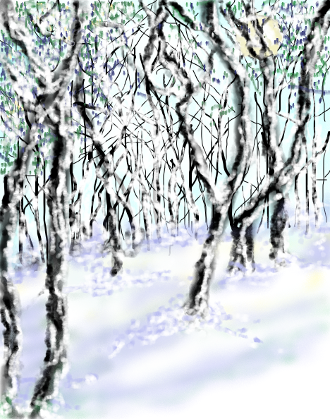 Bosque Gelado
