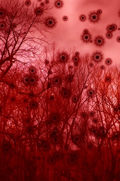 PoppiesRed