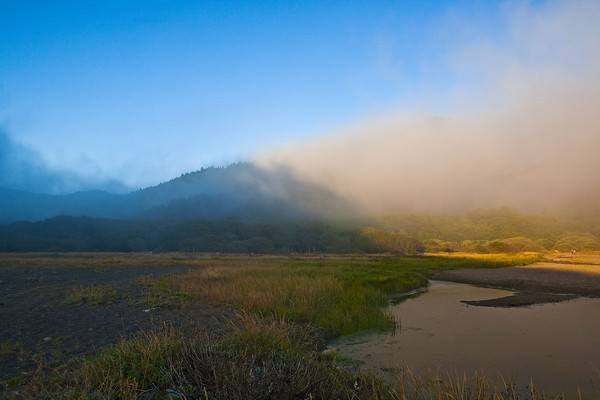 Lost Coast Foggy Sunset