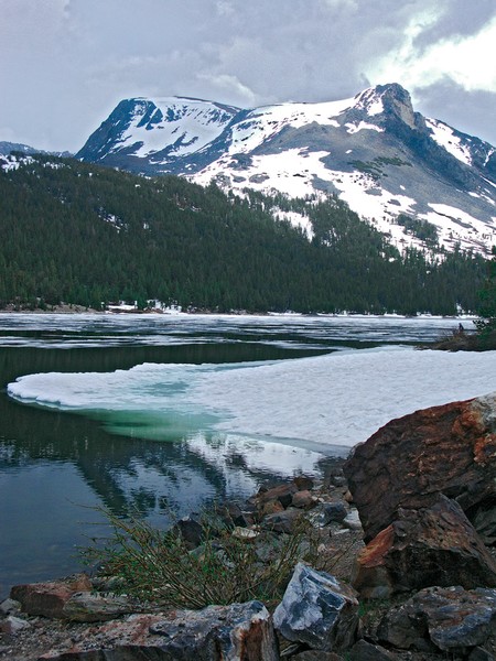 Green Ice