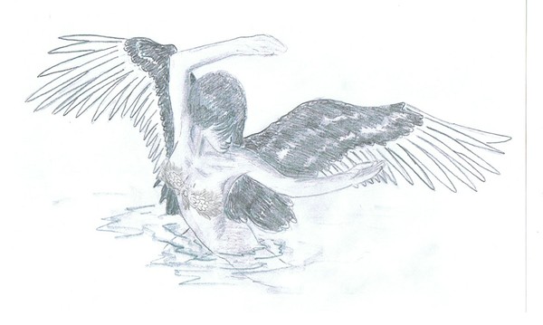 Black Swan