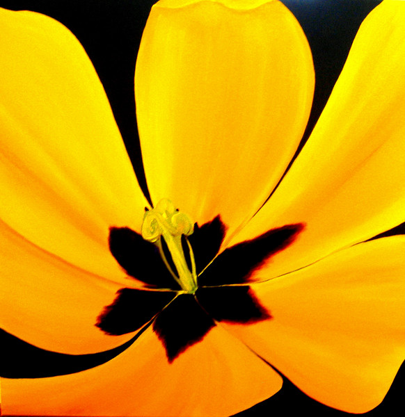 GOLDEN TULIP