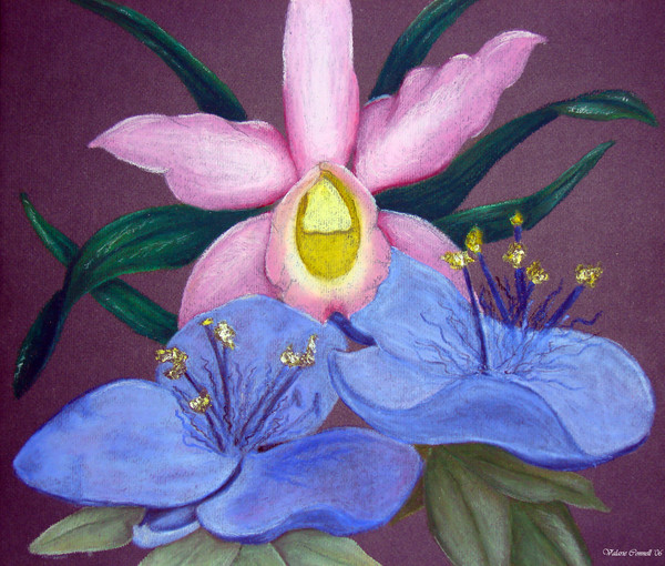 Pink & Blue Flowers