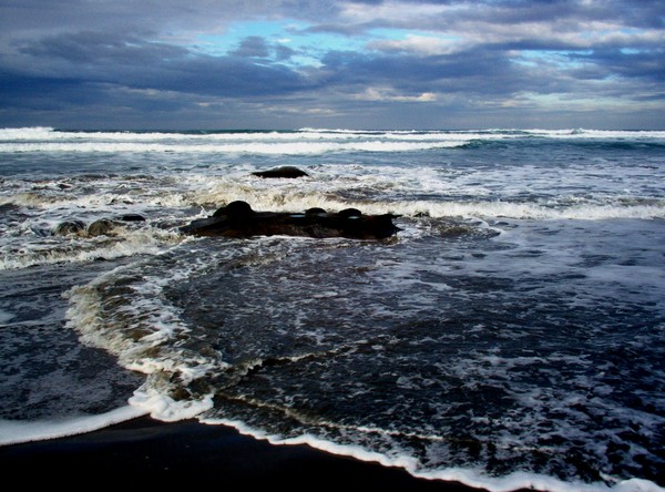 Rough Waters