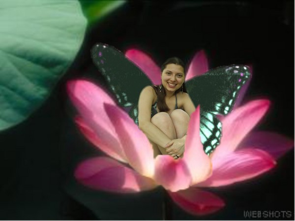Water Lily