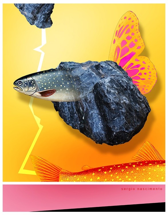 FISH STONE