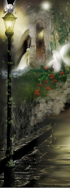 A New Beginning