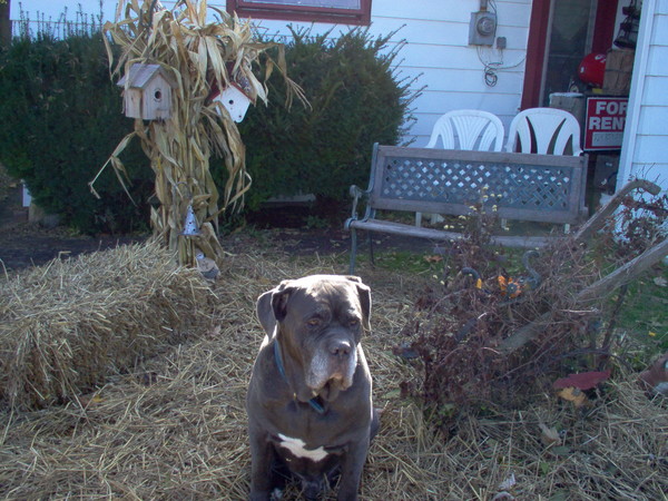 Waiting on Trick or Treaters