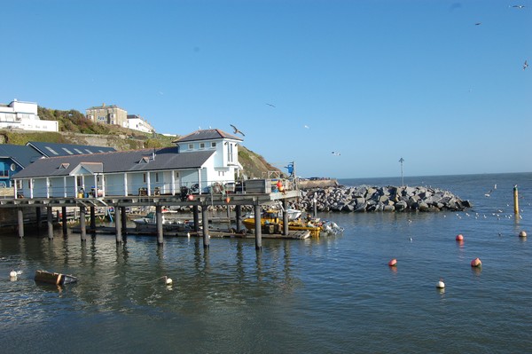 fish shop 2