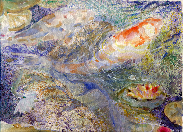 koi pond