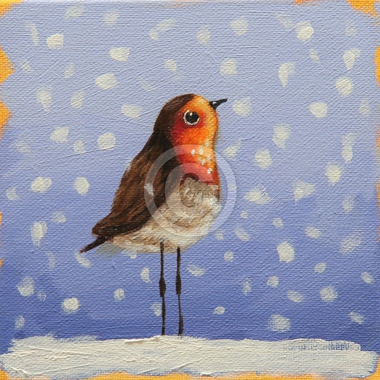 Robin 