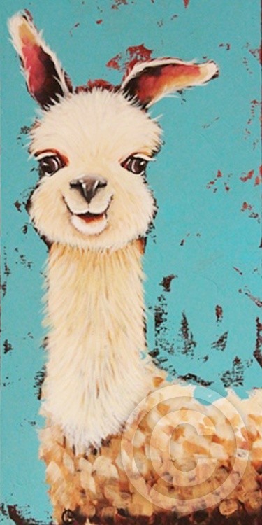 Llama Sid