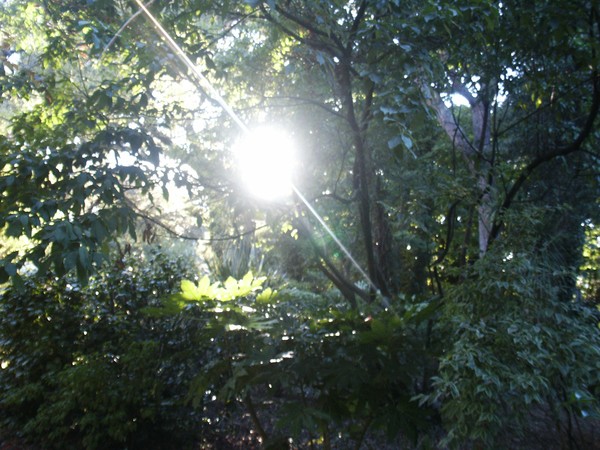 *BEAUTIFUL LIGHT*