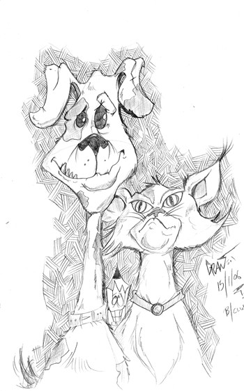 cat and dog