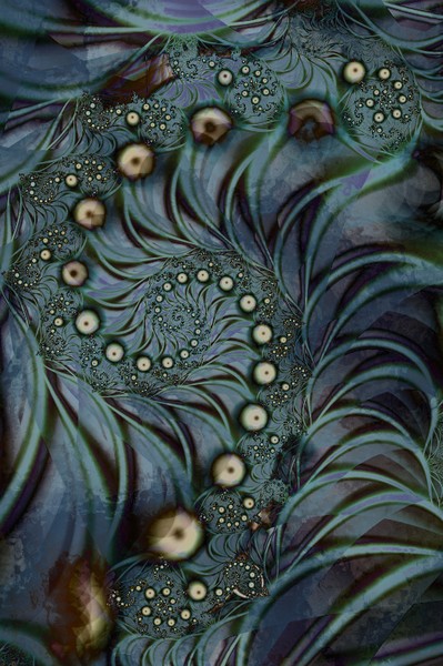 Fern