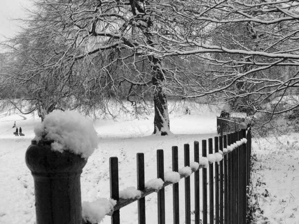 WINTER IN THE PARK