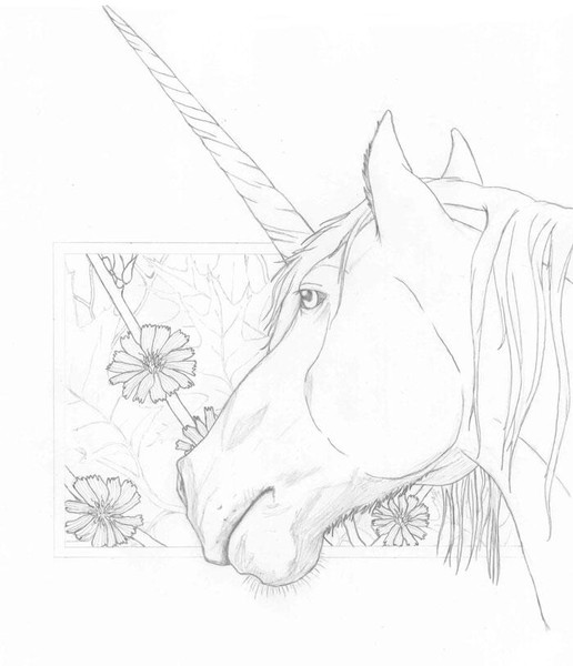Unicorn -WIP