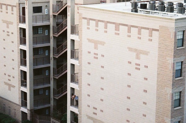 The neighborhood