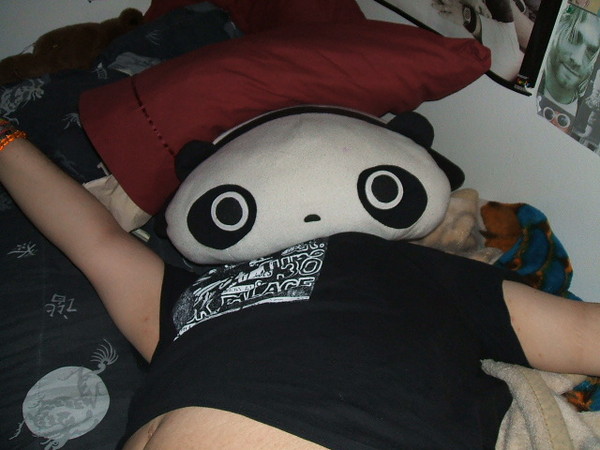 MY EVERYTHING PANDA