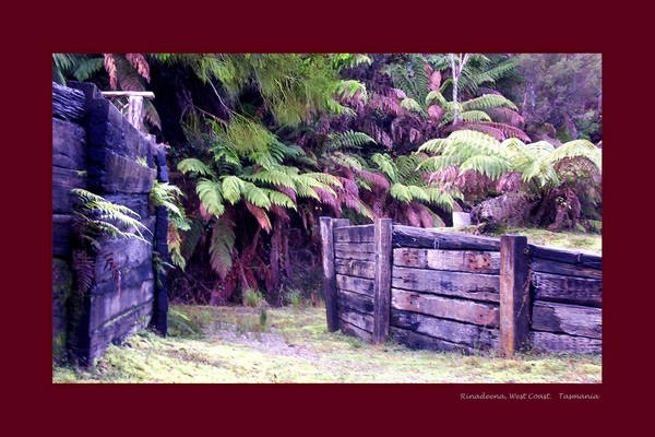 Rinadeena ~ West Coast TASMANIA